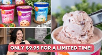 These Creamy New Made-In-Spain Ice Cream Pints At FairPrice Can Rival Famous Brands