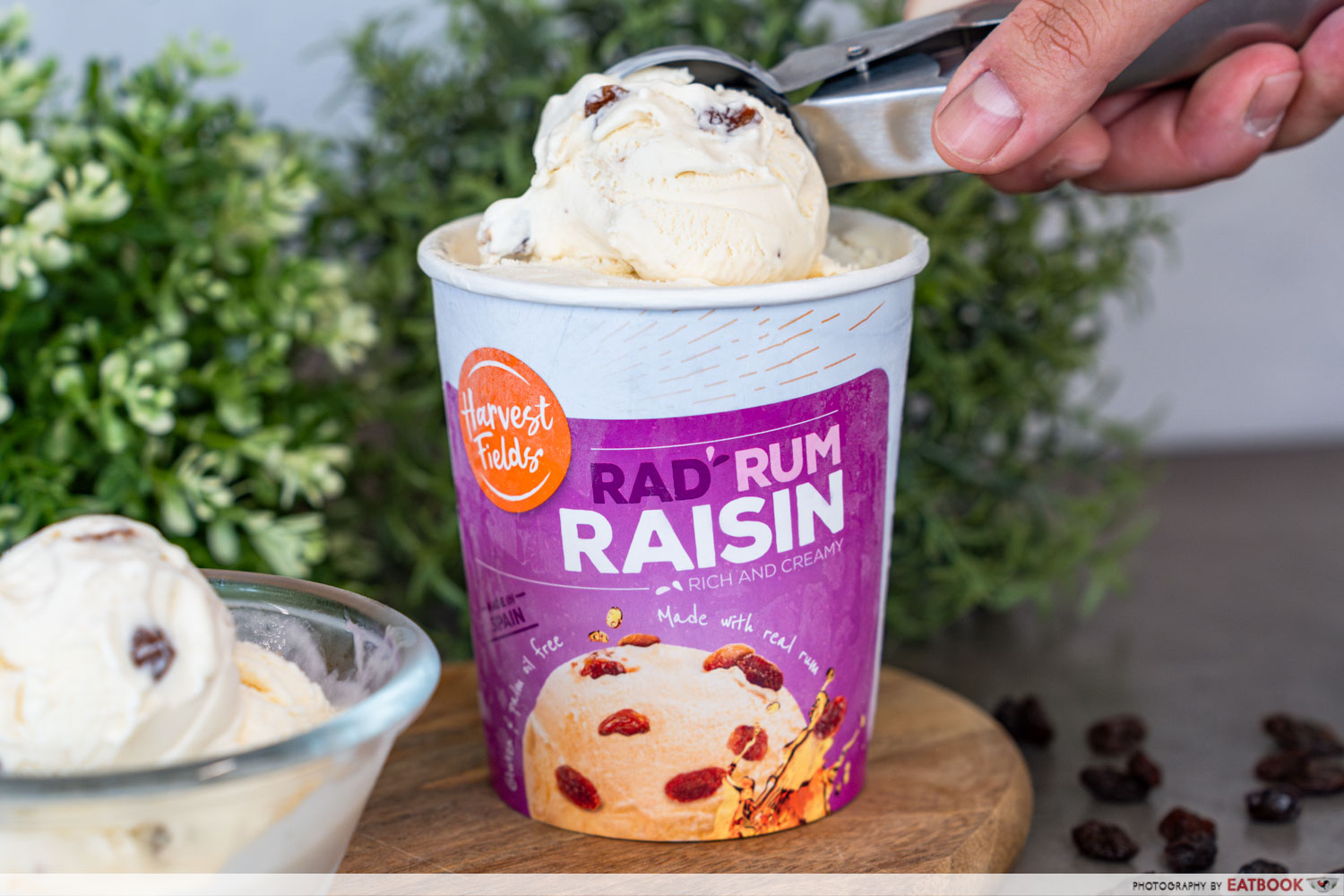 harvest-fields-ice-cream-rad-rum-raisin-interaction