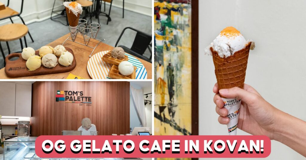 toms-palatte-kovan-feautre-img