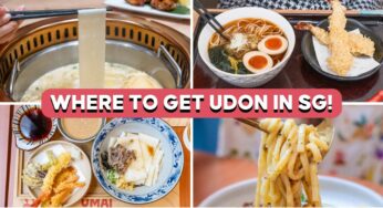 8 Udon Restaurants In Singapore For Tokyo-Viral Flat Noodles, Handmade Udon And More