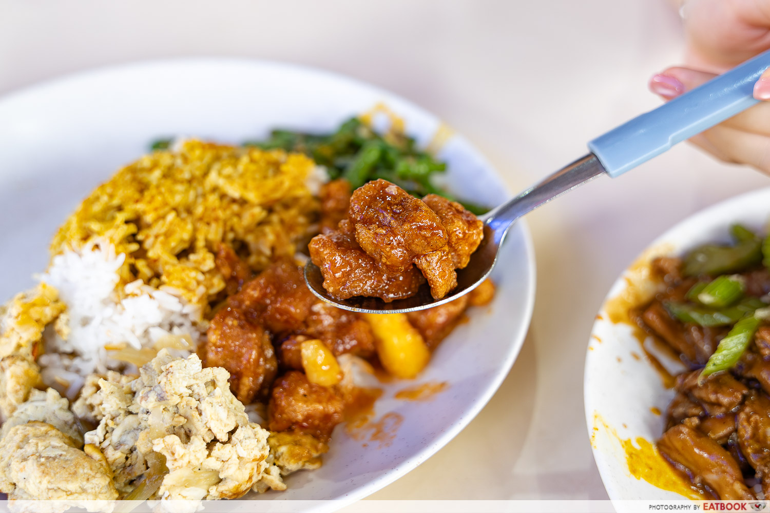 lai-heng-economical-mixed-veg-rice-pork