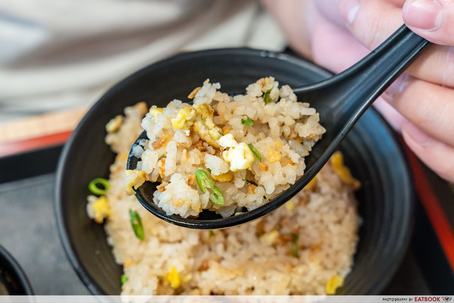 little-tokio-garlic-fried-rice-interaction
