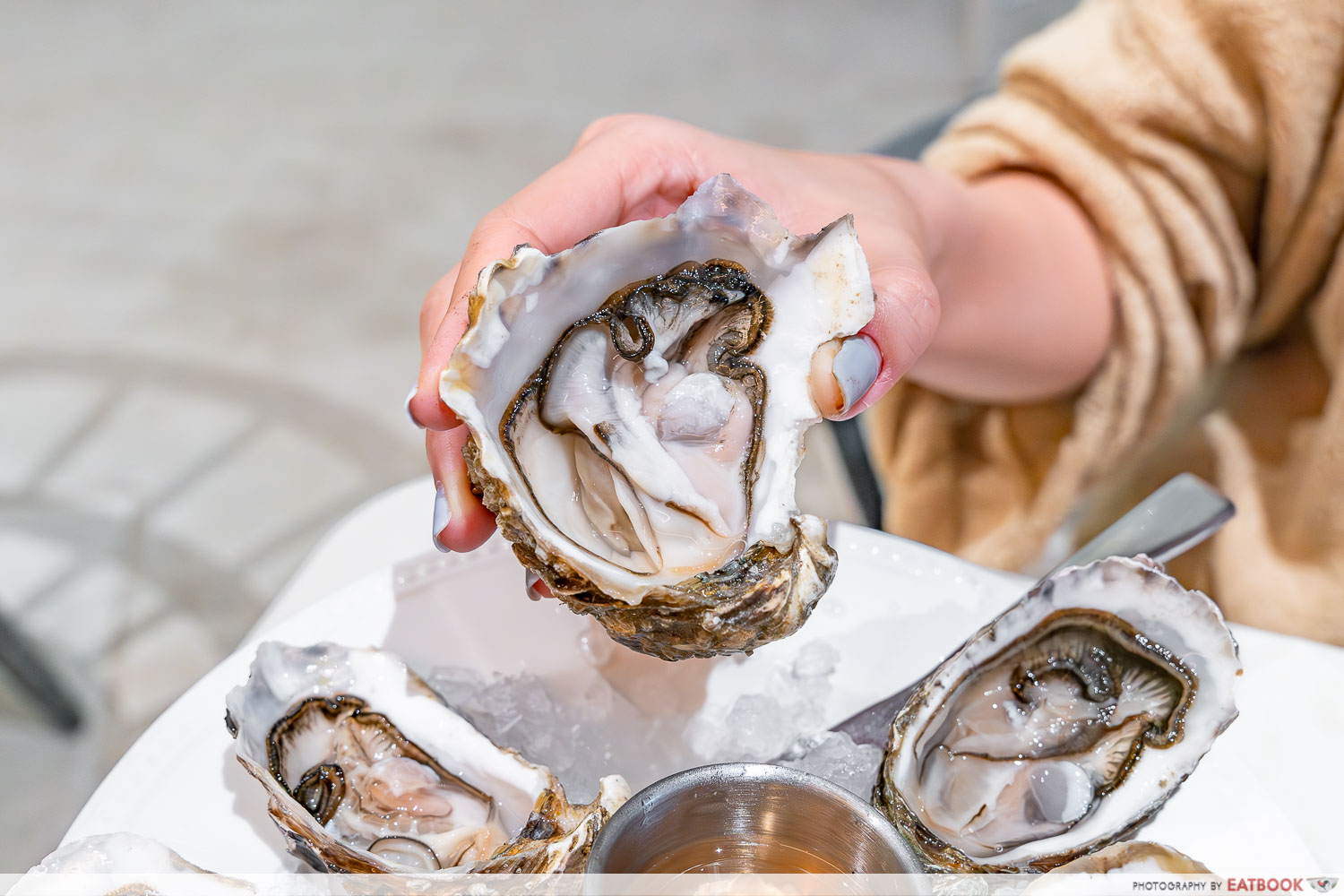 Angies-Oyster-Bar-Grill-fresh-oysters