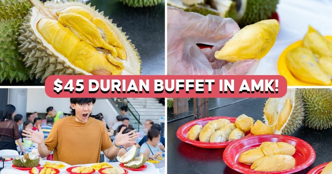 durian-buffet-amk-cover