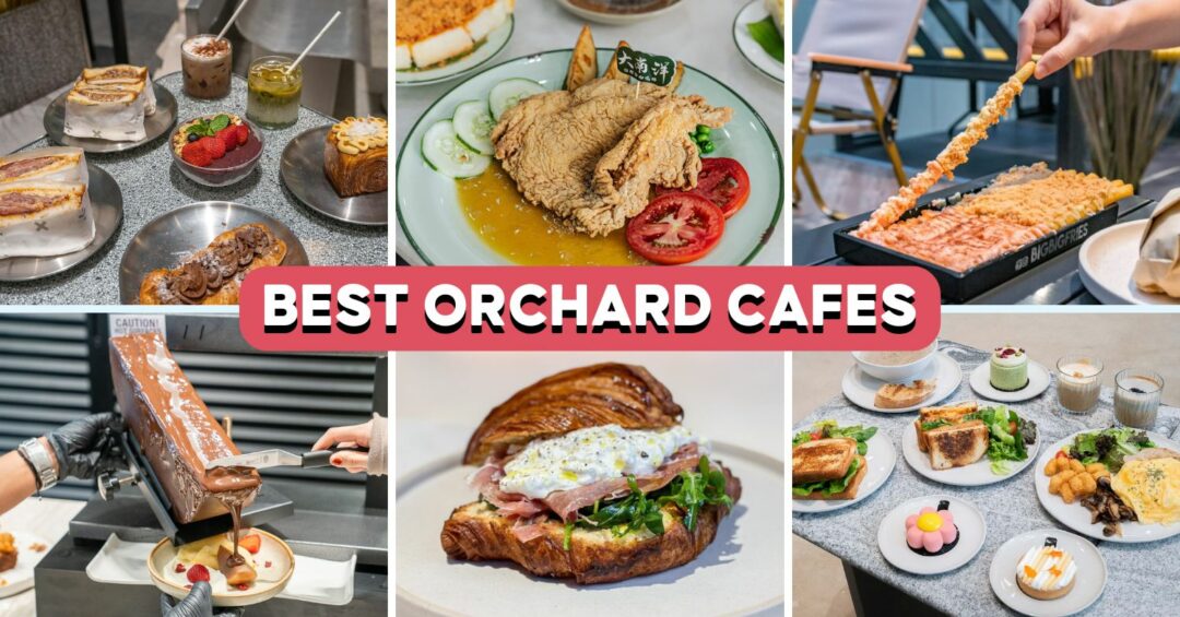 orchard-road-cafes-feature-image