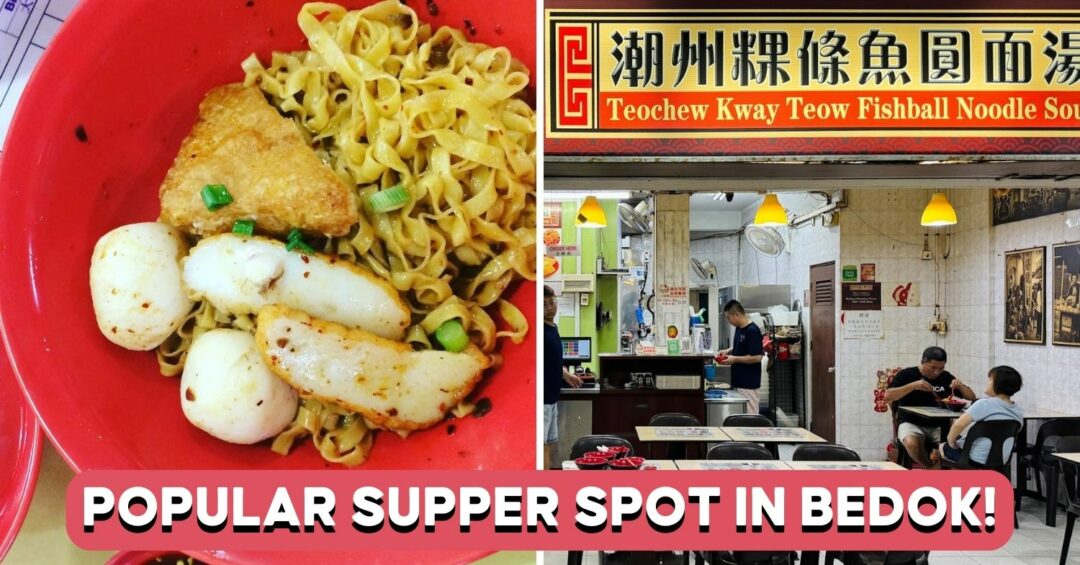 shen-ji-teochew-kway-teow-fishball-noodle-soup-cover