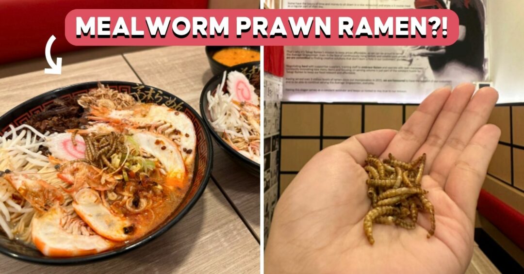 TAKAGI-MEALWORM-COVER