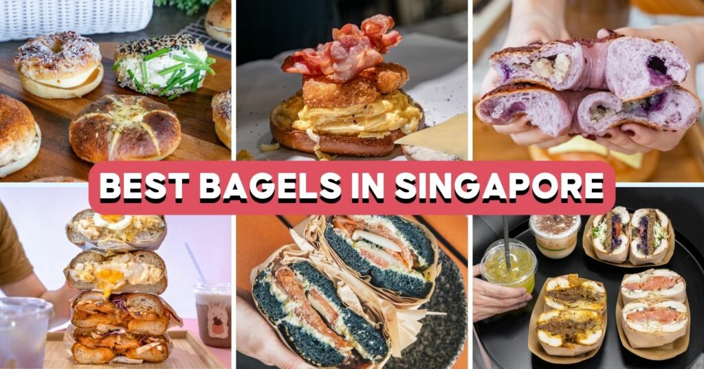 best bagels feature image