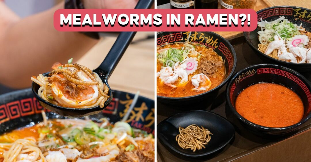 takagi-ramen-mealworms-cover-image