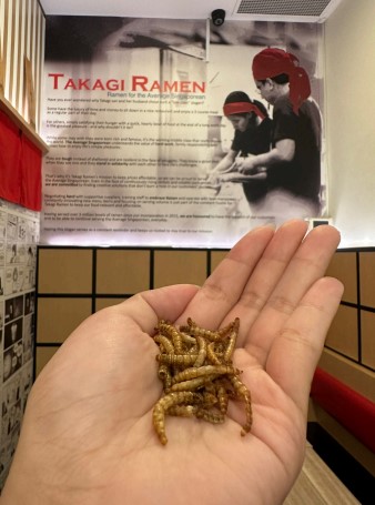 takagi-ramen-mealworms