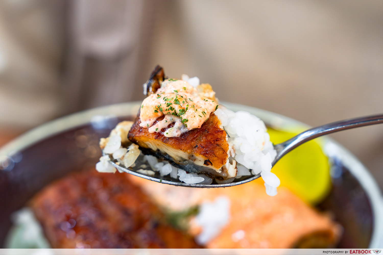 haru-haru-speciality-in-mentaiko-unagi-don-interaction