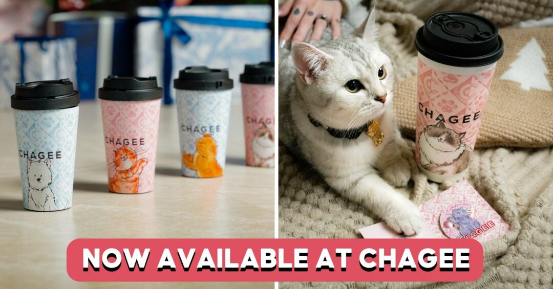 chagee paws up collection