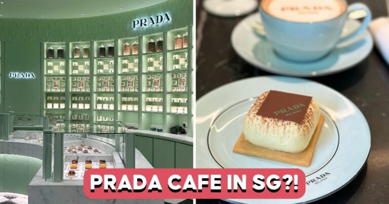 prada-cafe-cover