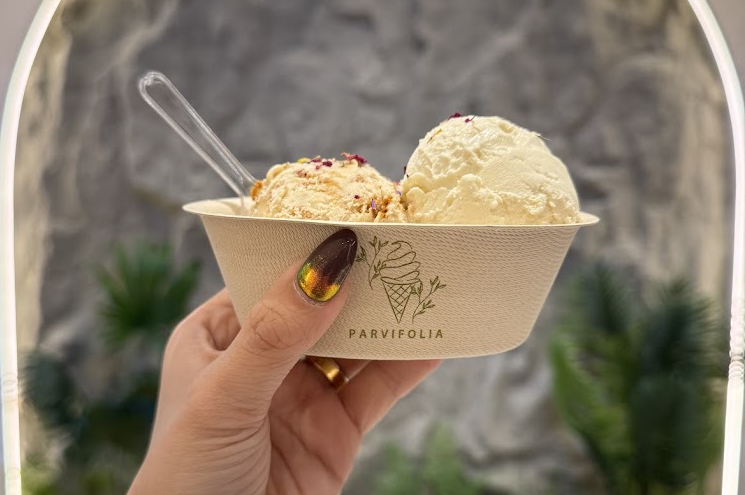 Parvifolia-double-scoop-ice-cream