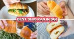 6 Best Bakeries For Fresh Shio Pan From $2