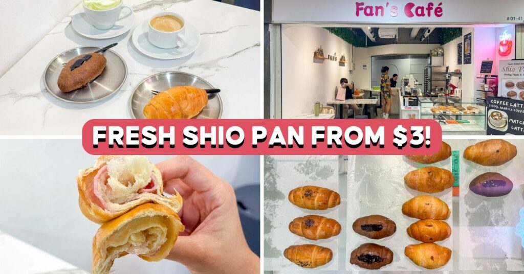 FANS-CAFE-COVER-UPDATED