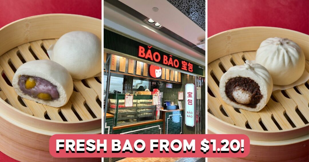 bao-bao-cover