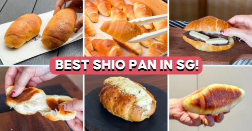 shio-pan-cover