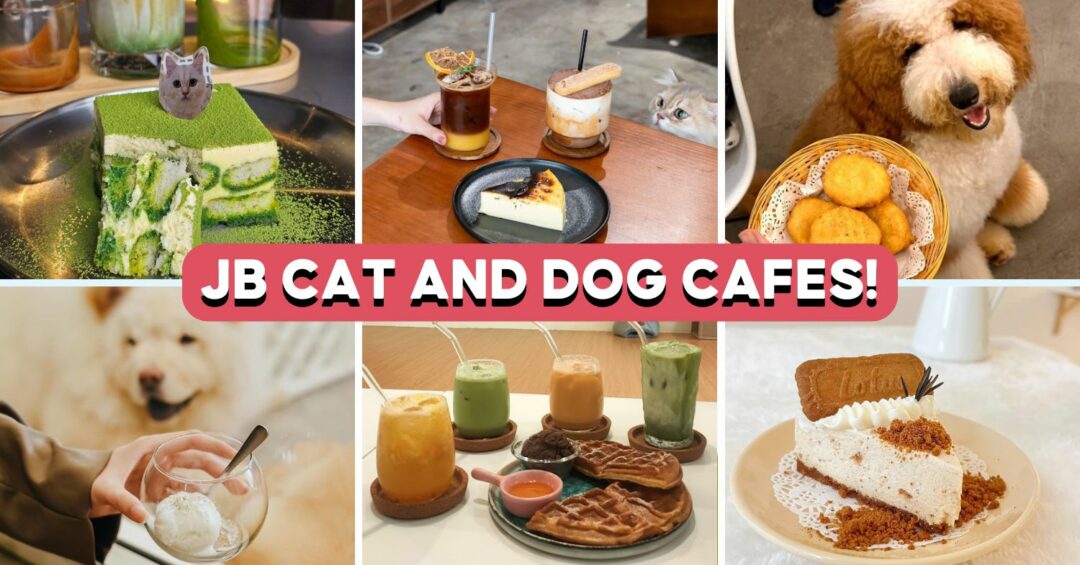 Johor-Bahru-Dog-And-Cat-Cafes-Feature-Image