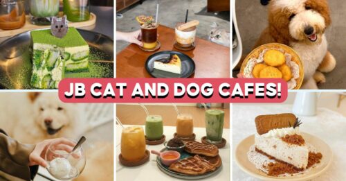 Johor-Bahru-Dog-And-Cat-Cafes-Feature-Image