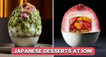Get TikTok-Viral Kakigori In 5 Flavours At This Popular Orchard Cafe