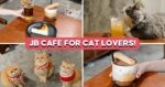 This Cafe In JB Lets You Chill With Cats While Enjoying Matcha Cheesecake And Tiramisu Latte