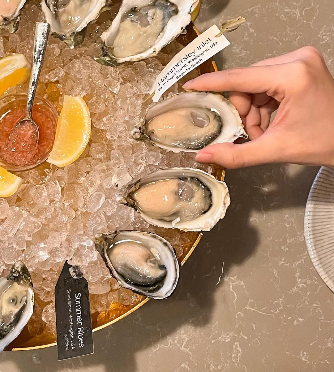 Humpback-Oysters-Interaction