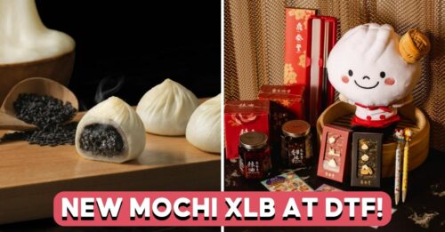 dtf-xlb-blacksesame-cover