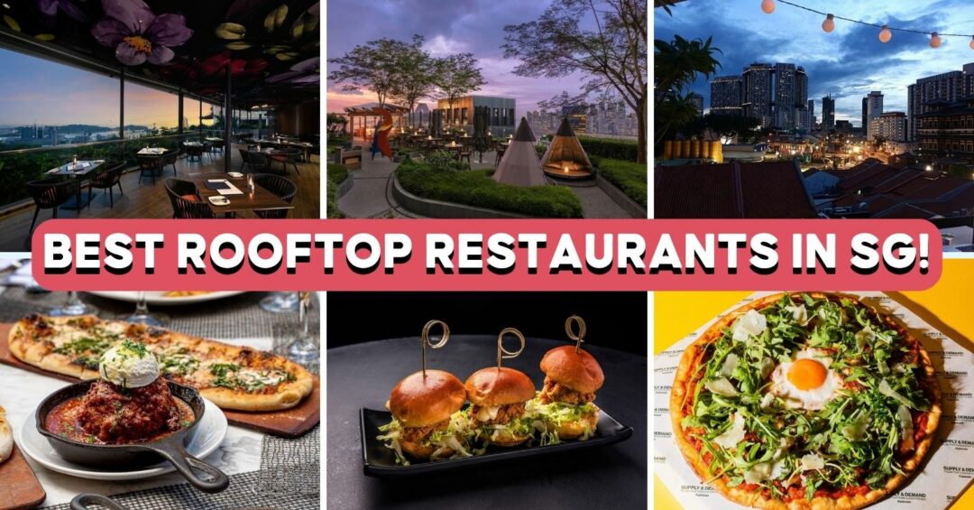 rooftop-guide-coverpic
