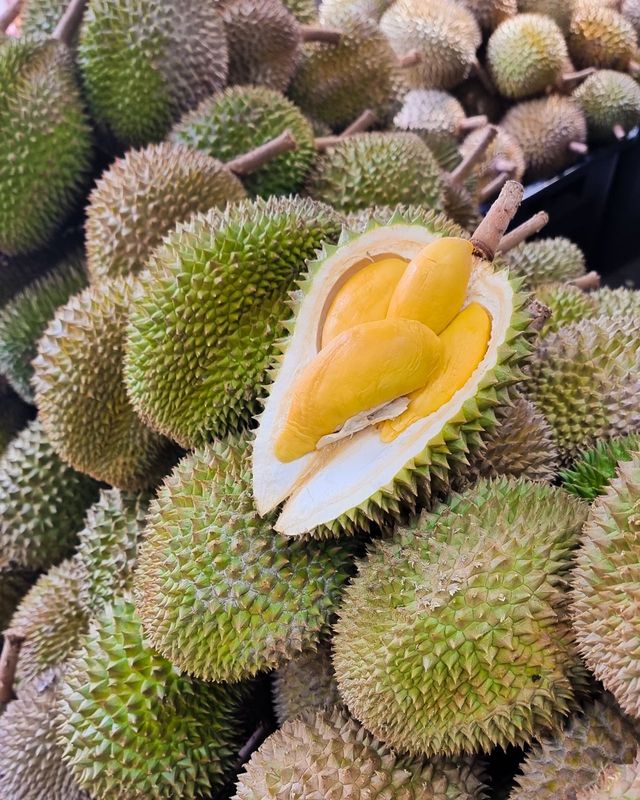 fairprice-durian-flash-sale-2026-kampung-durian-cross-section