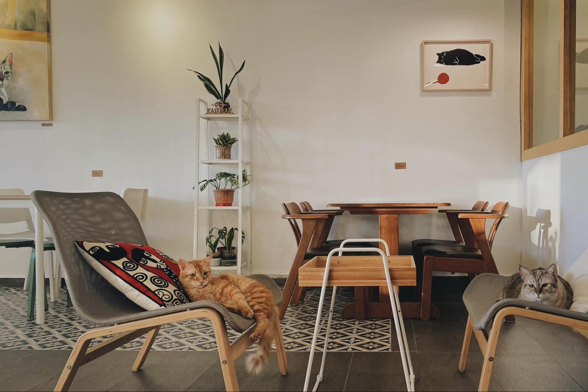 kafuka-cafe-&-music-studio-ambience