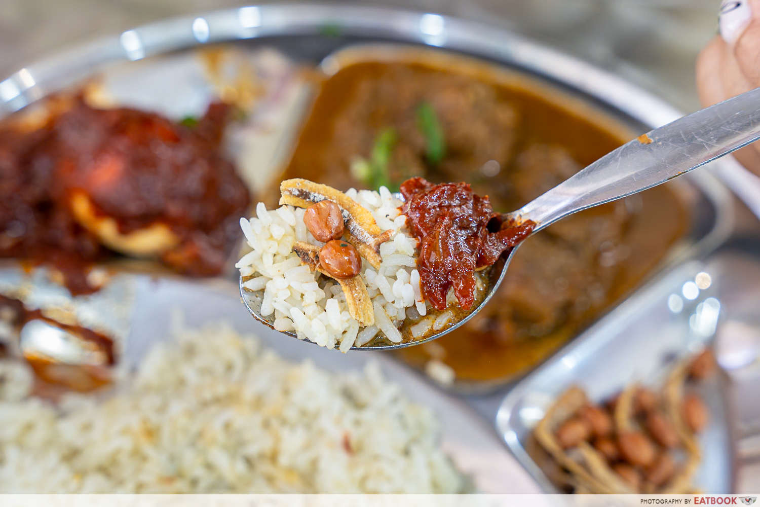 kokoyo-nyonya-delights-rice