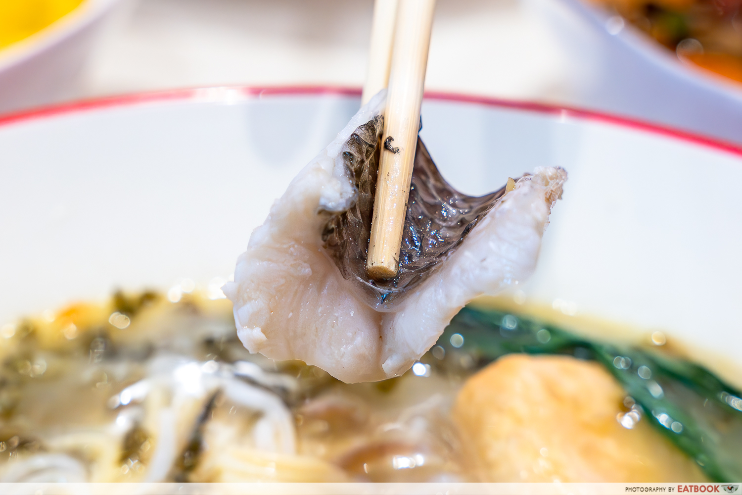 xiao-yu-hao-black-snakehead-fish