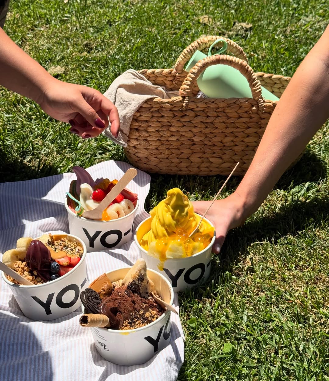 yo-chi-picnic