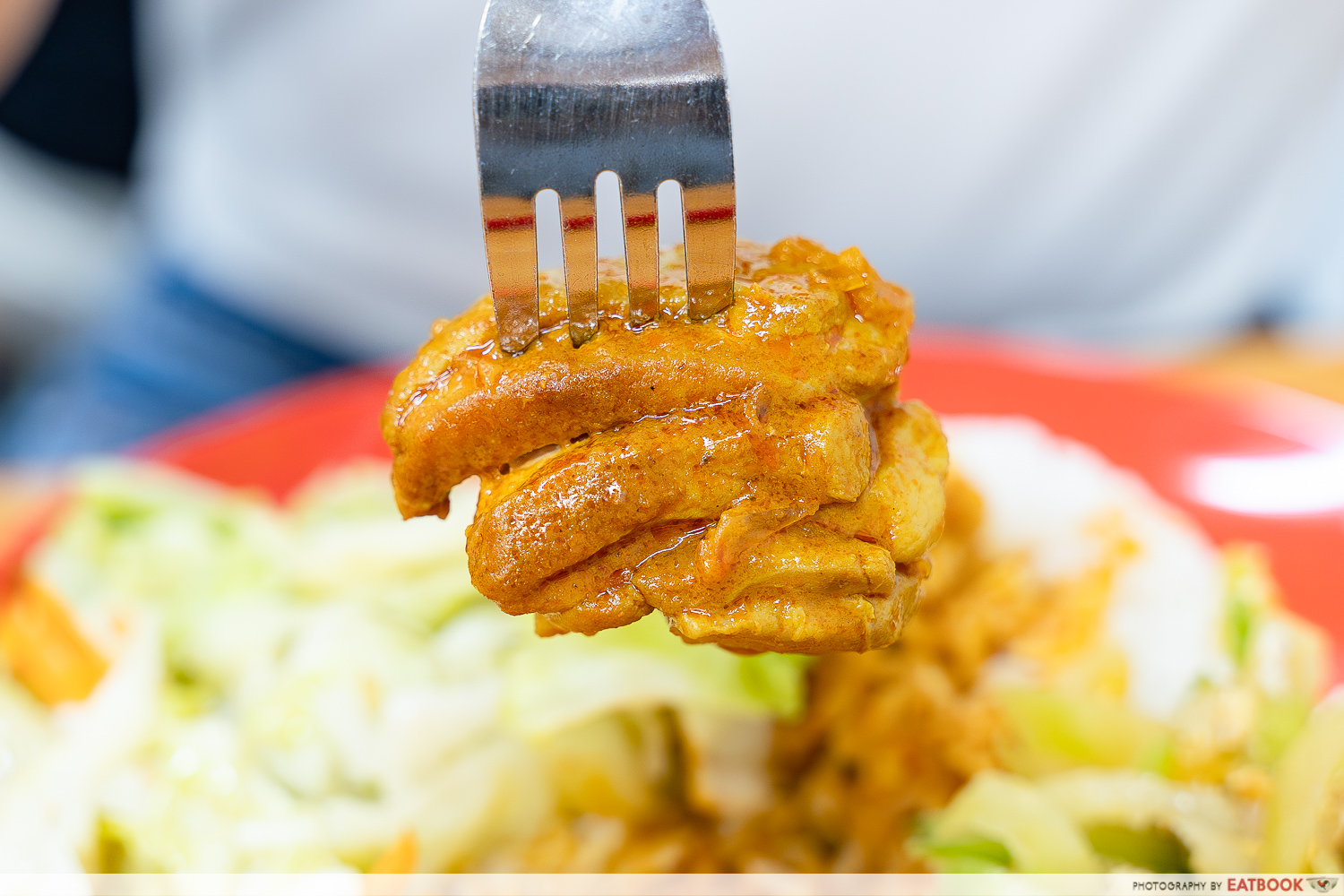 470-Economic-Mixed-Veg-Rice-Curry-Chicken