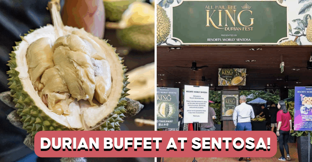 rws durian buffet feature image
