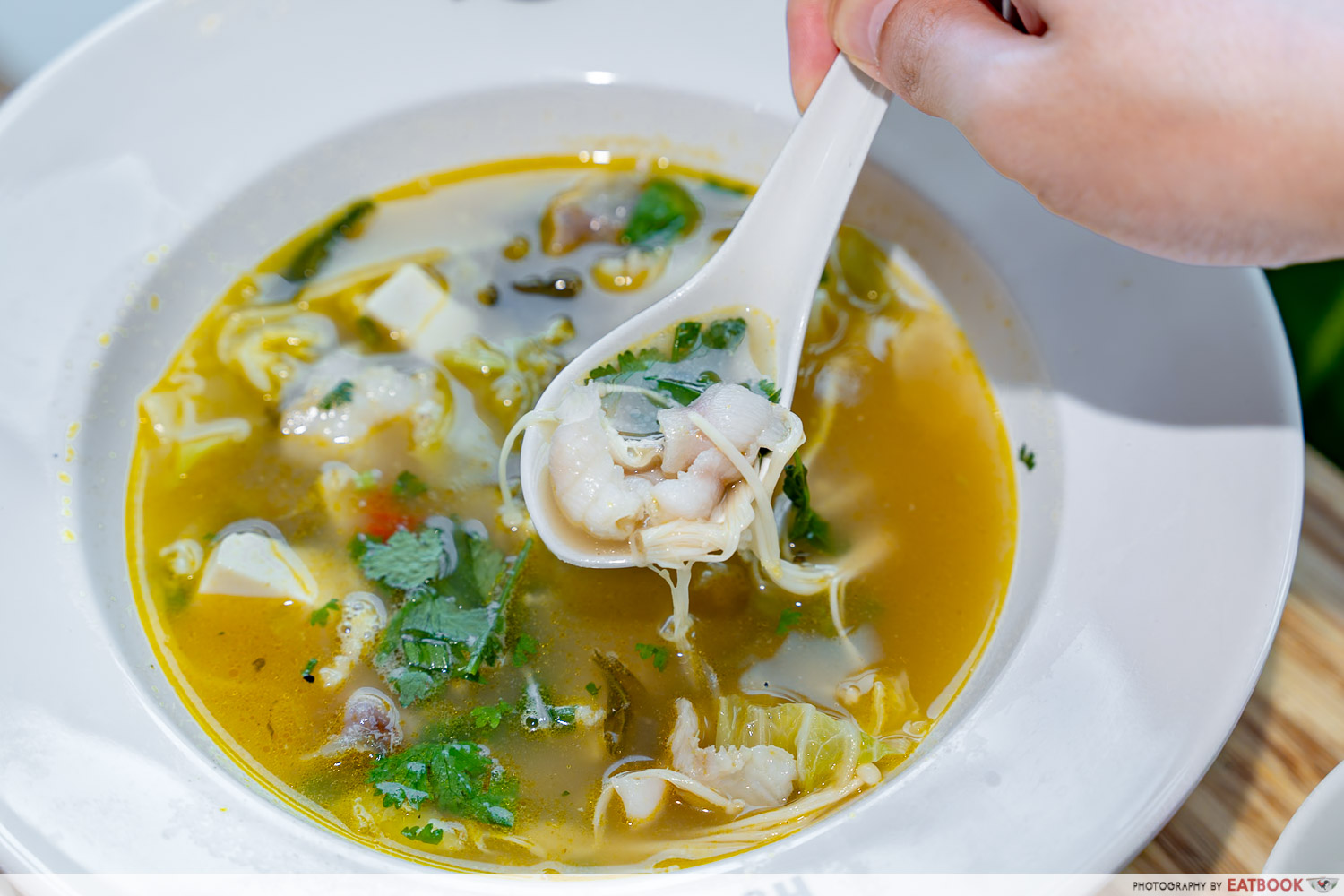 The-Food-Place-Ju-Xing-Scoop