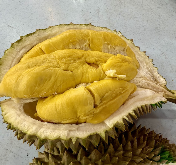 Yi-Foon-Durian-d24
