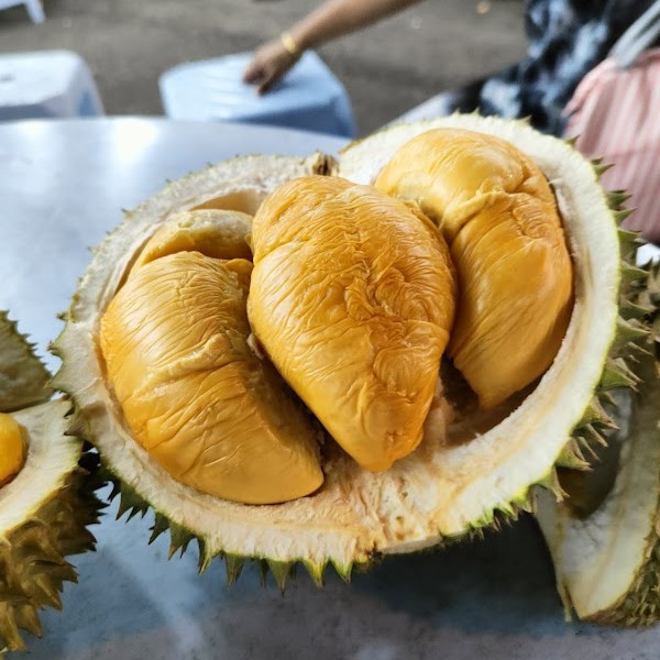 Yi-Foon-Durian-red-prawn