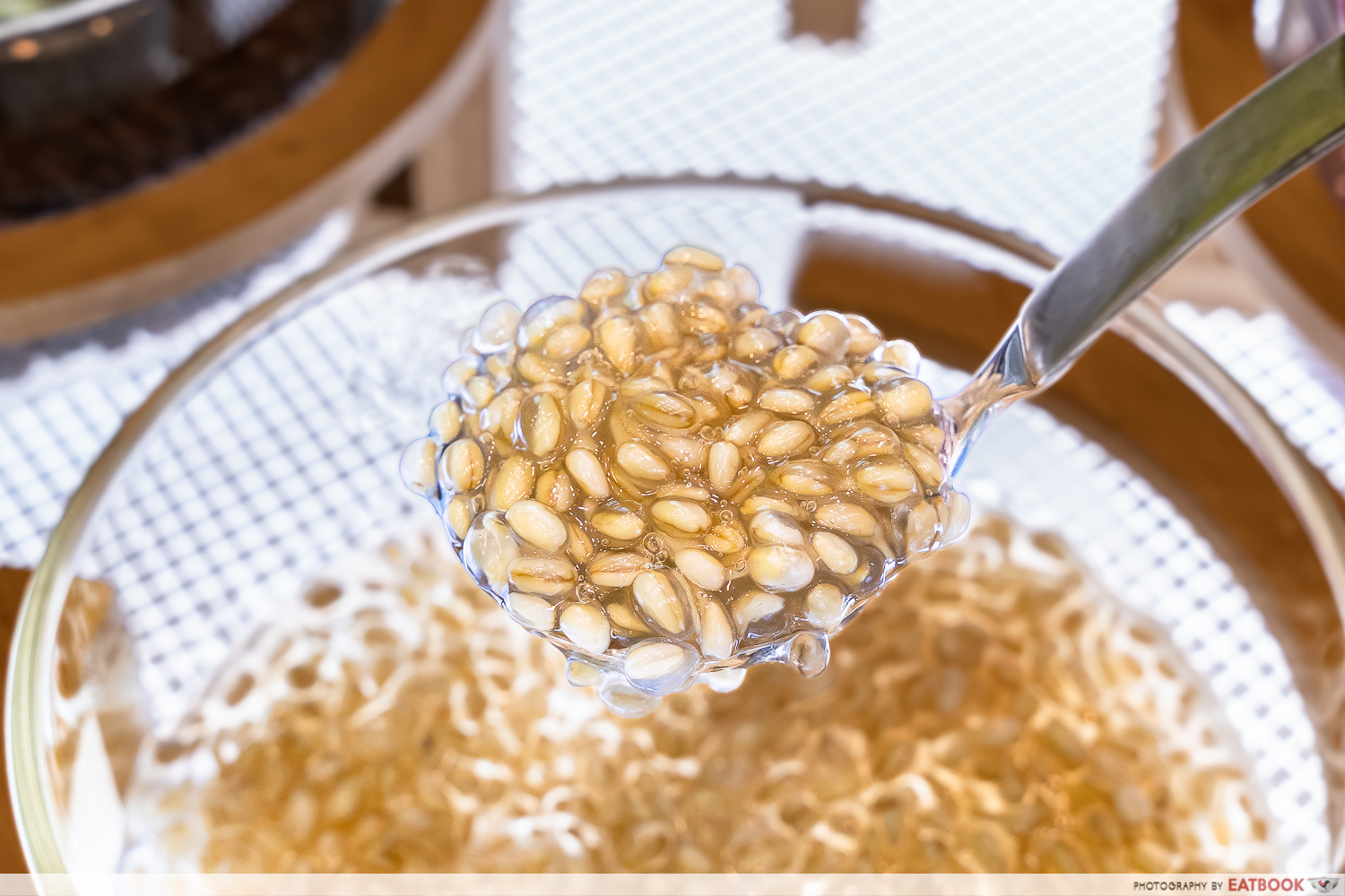 Yogurt-Planet-Barley