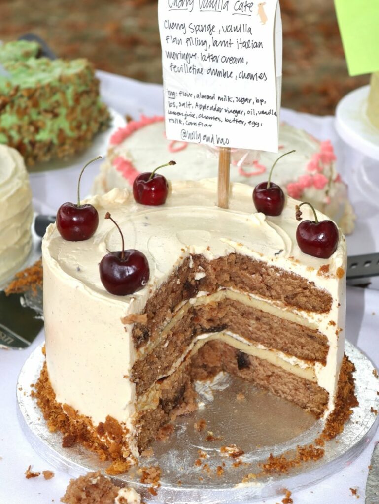 cake-picnic-cherry
