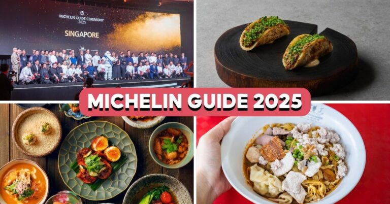 michelin25-cover