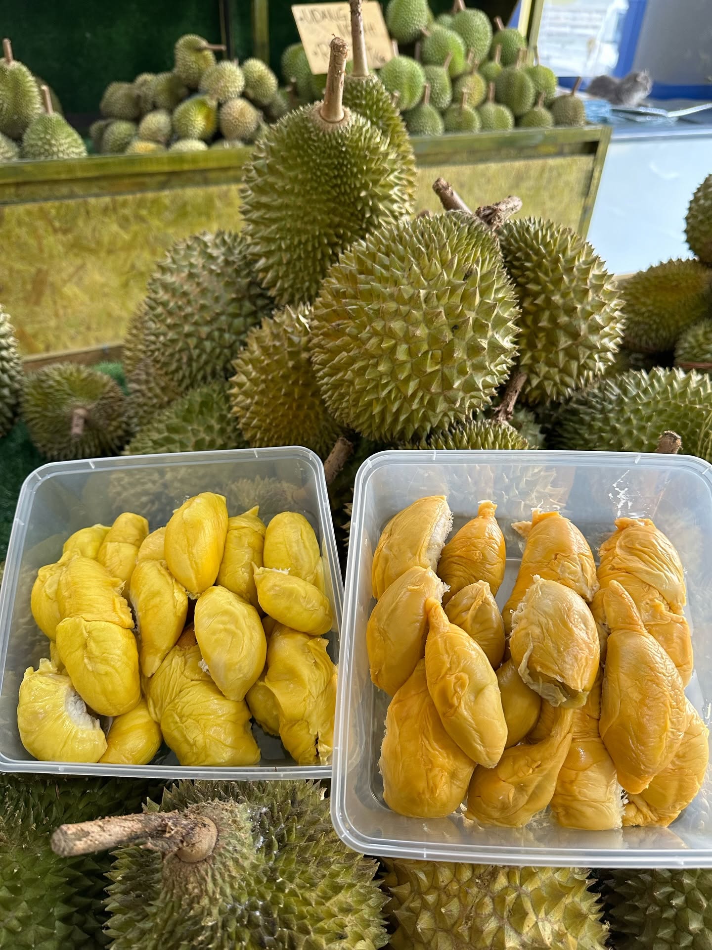 msk-trading-musang-king-buffet