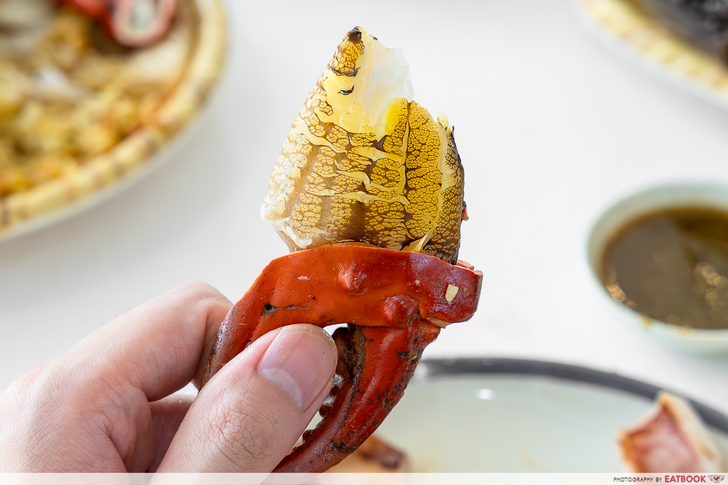 shrimp-prawn-hotpot-crab
