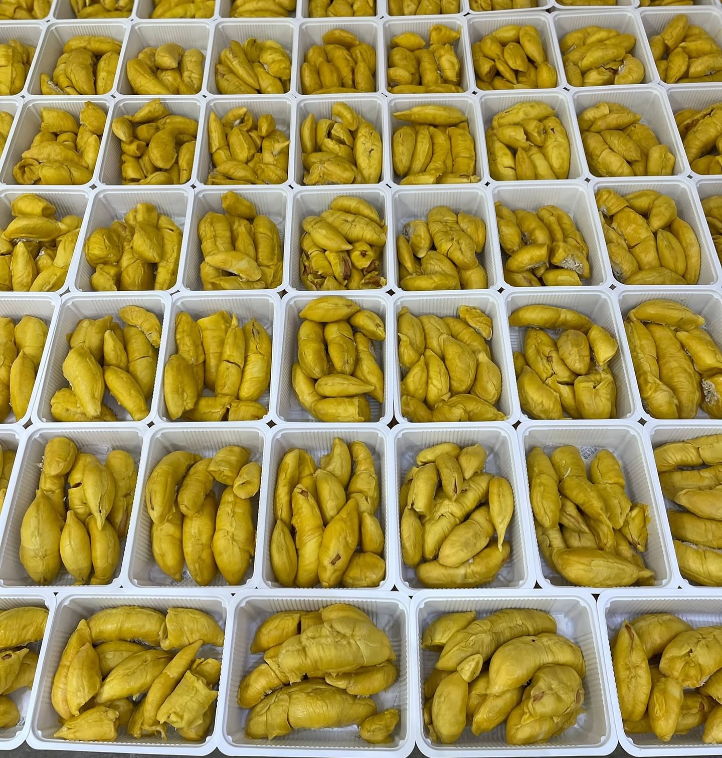 the-durian-story-durian-party