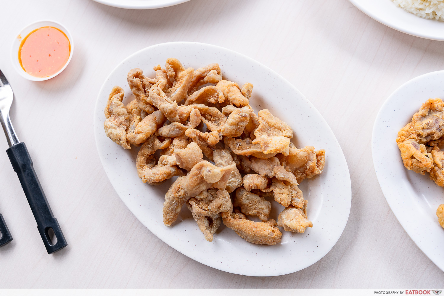 Big-Fried-Chicken-skin