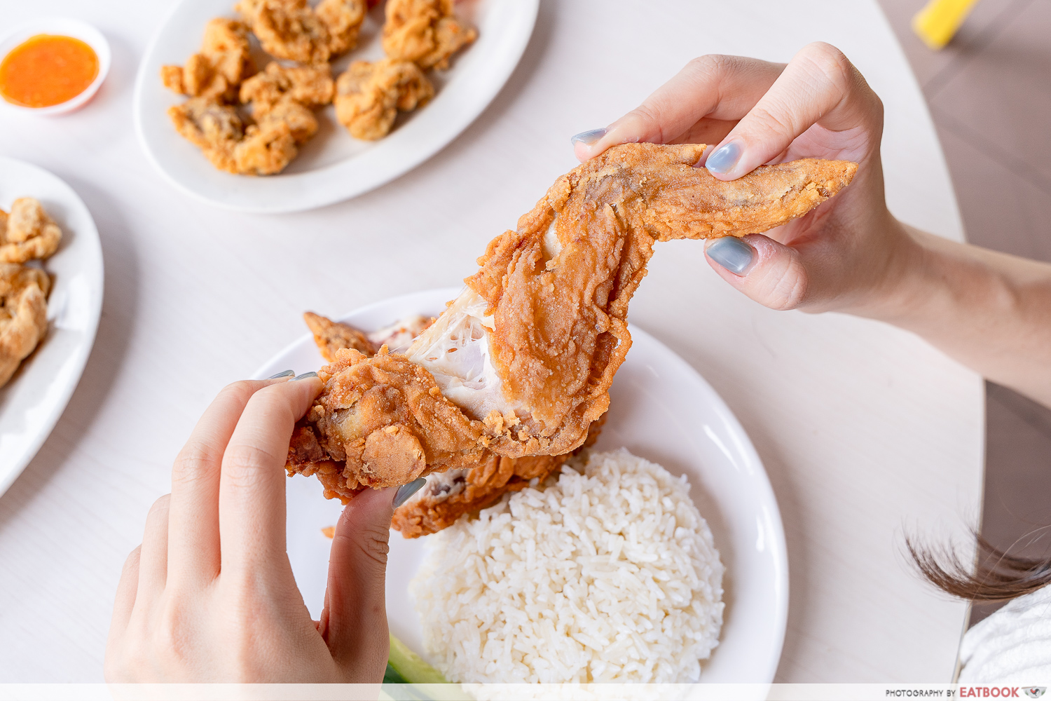 Big-Fried-Chicken-tearing-shot