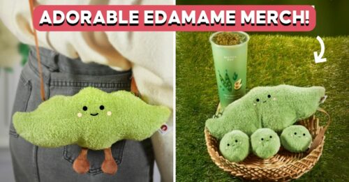 EDAMAME-MERCH-BEUTEA-COVER