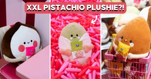 TAI-SUN-PLUSHIES-COVER-2