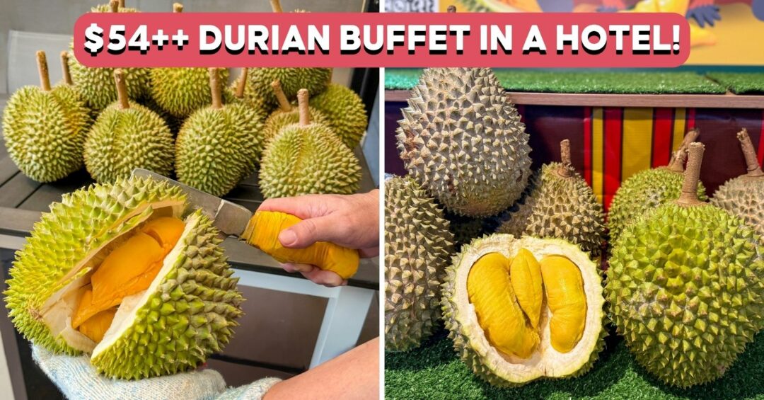 YUE-DURIAN-BUFFET